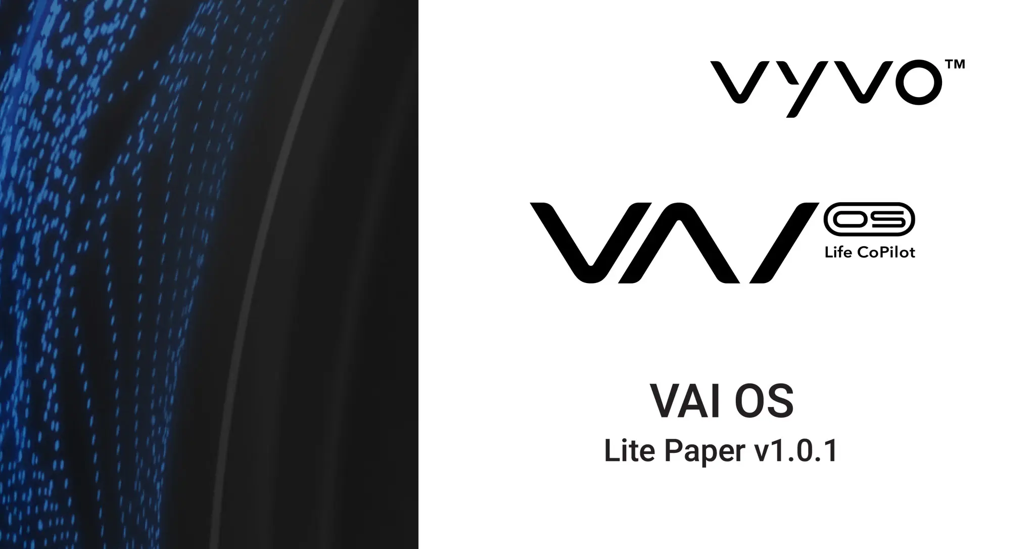 vyvo_litepaper.webp
